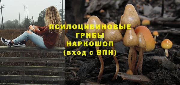 герыч Вязьма